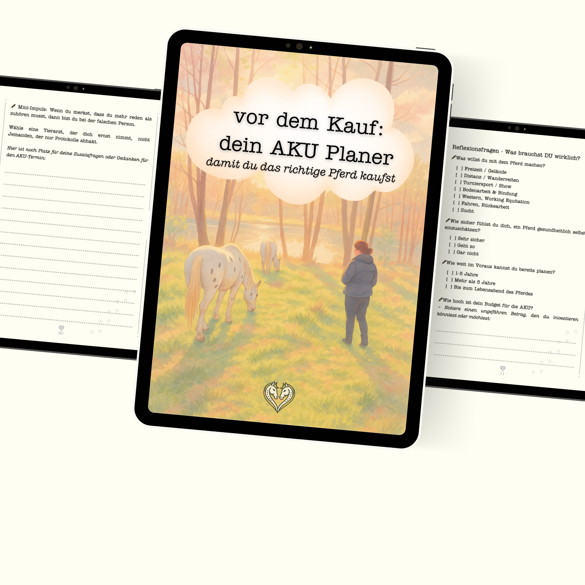 ✏️ Vor dem Kauf - dein AKU Planer