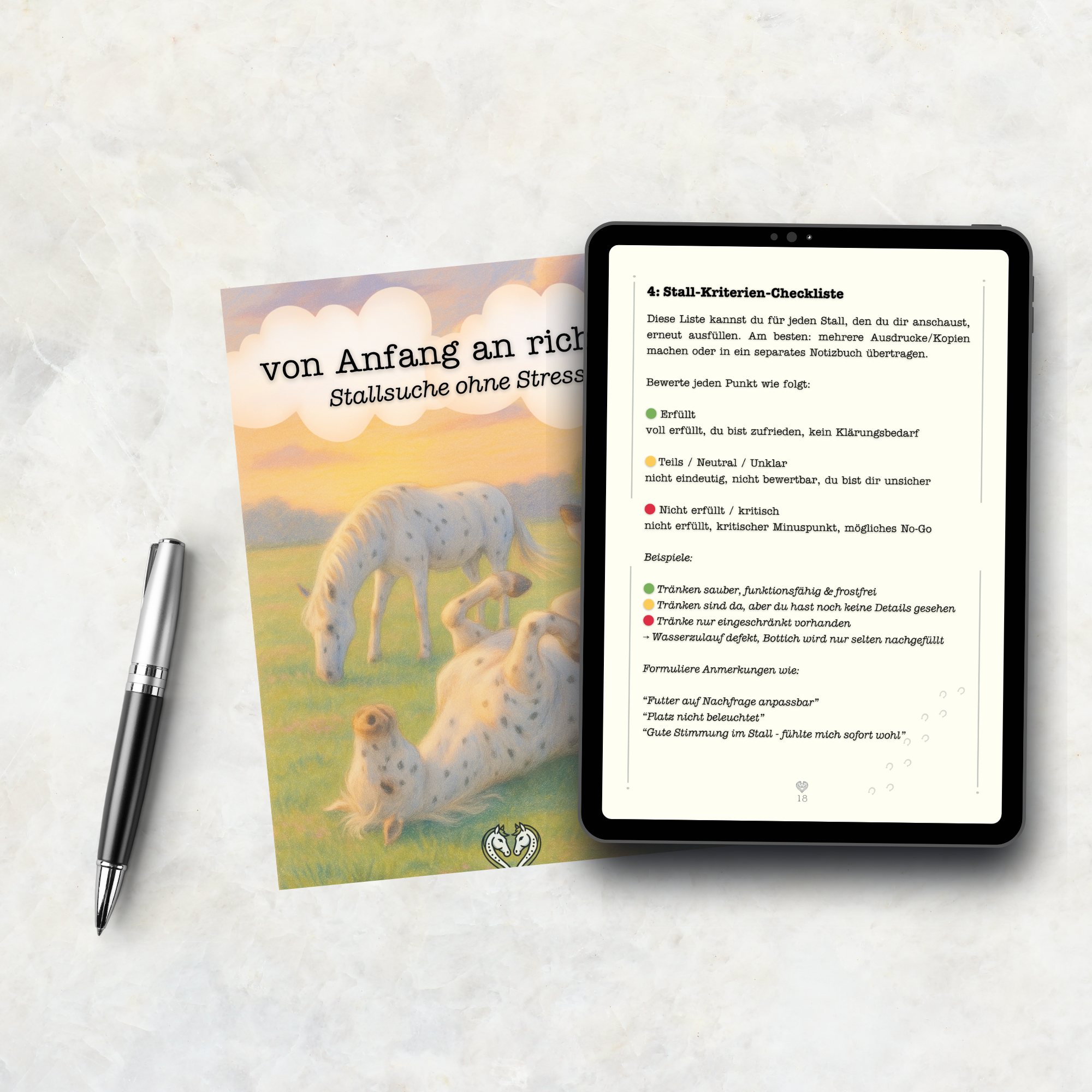 ✏️ Von Anfang an richtig - Stallsuche ohne Stress