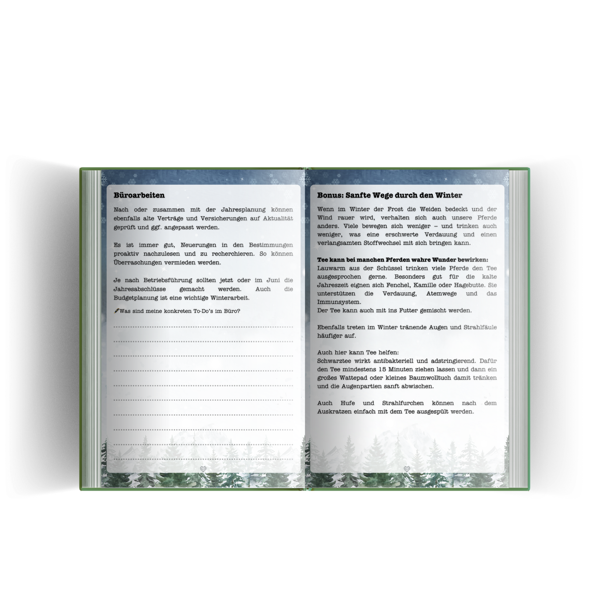 Hufbrüder Jahreskalender A5 - artgerechte Pferdehaltung mit den Jahreszeiten