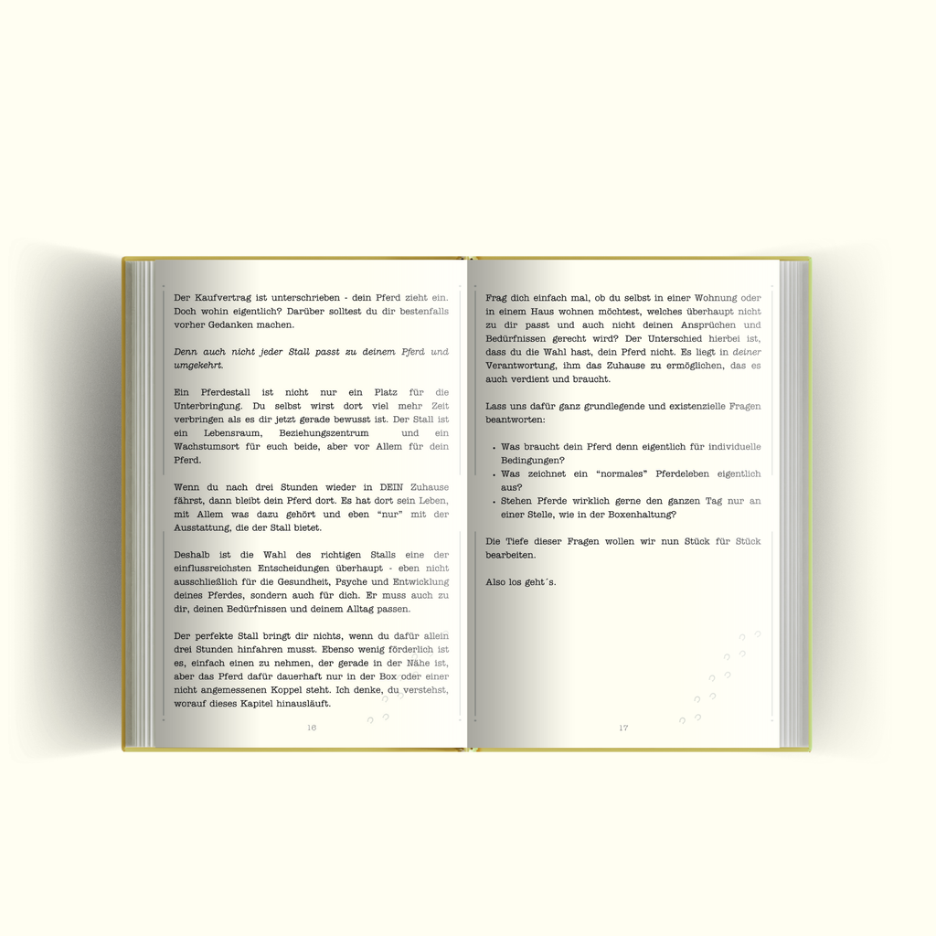 🧩 Von Box bis Weidehaltung - Überblick zur Stallsuche