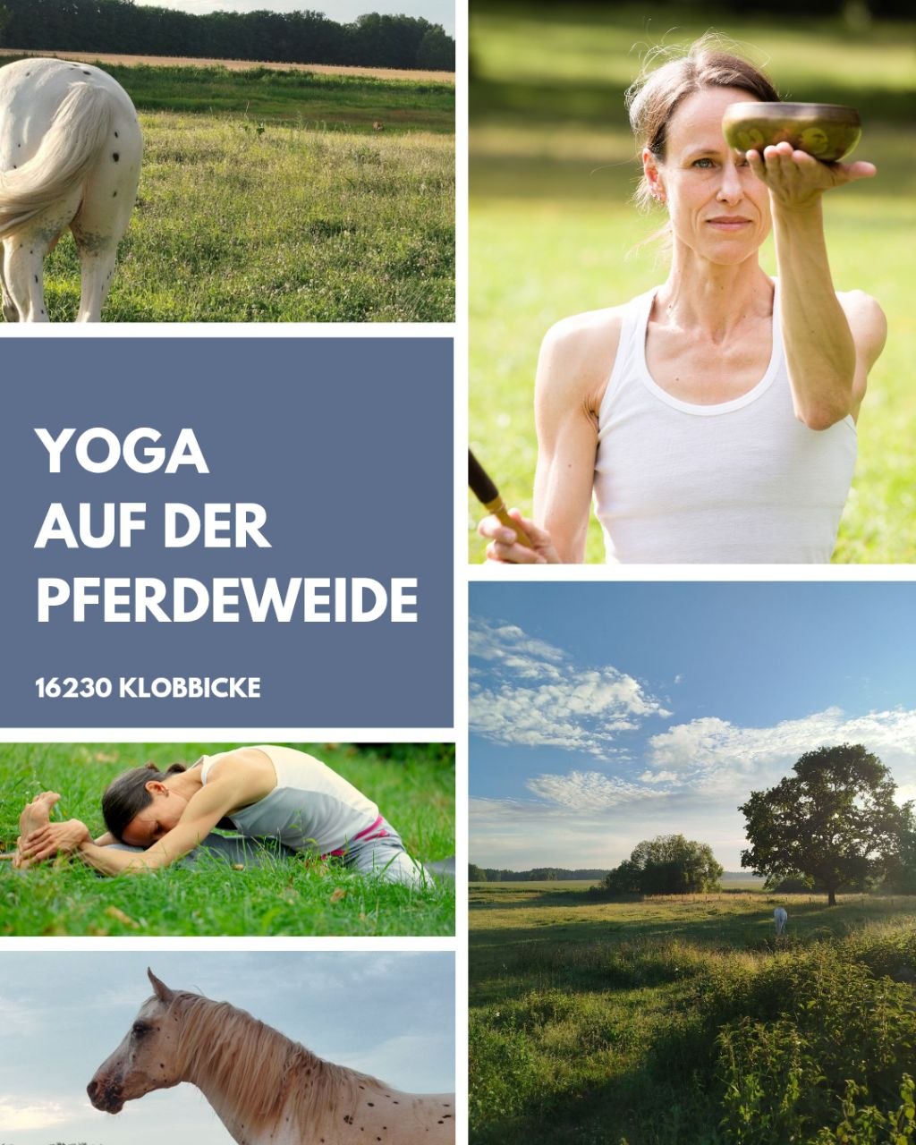 Yoga auf der Weide