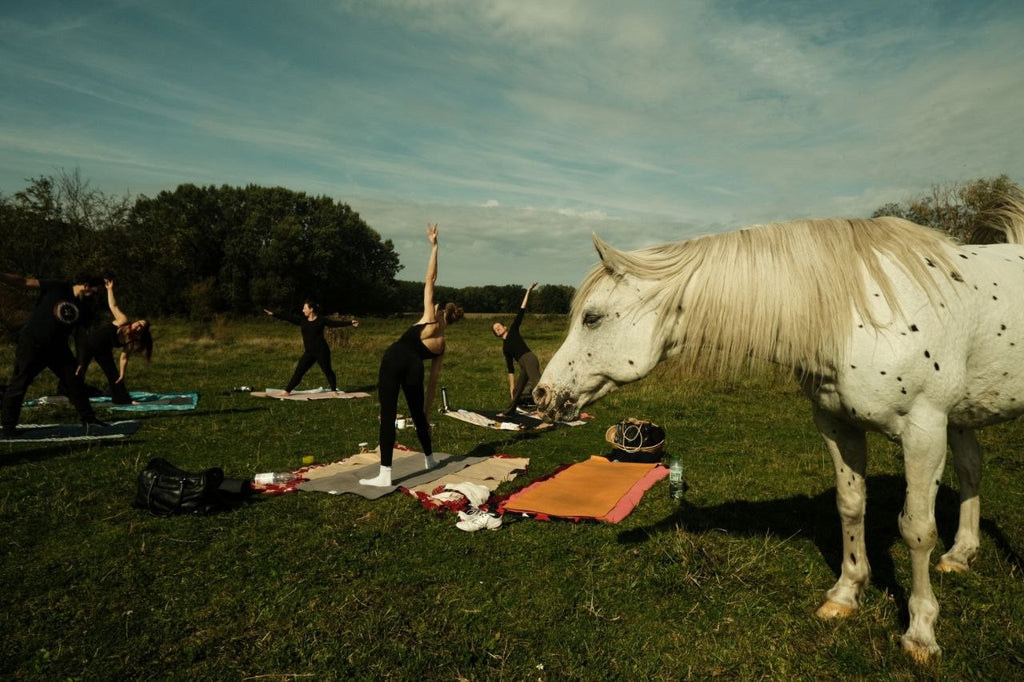Yoga auf der Weide
