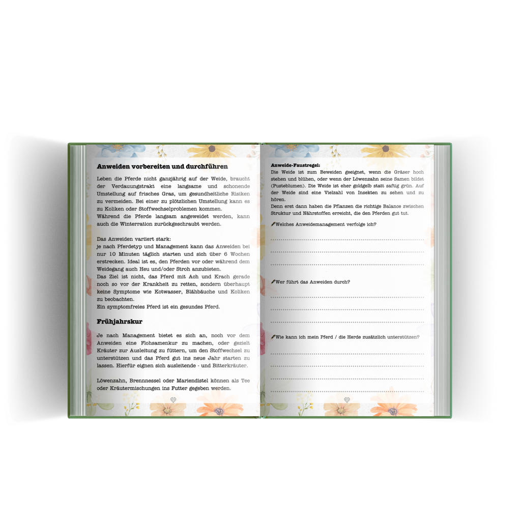 Hufbrüder Jahreskalender A5 - artgerechte Pferdehaltung mit den Jahreszeiten