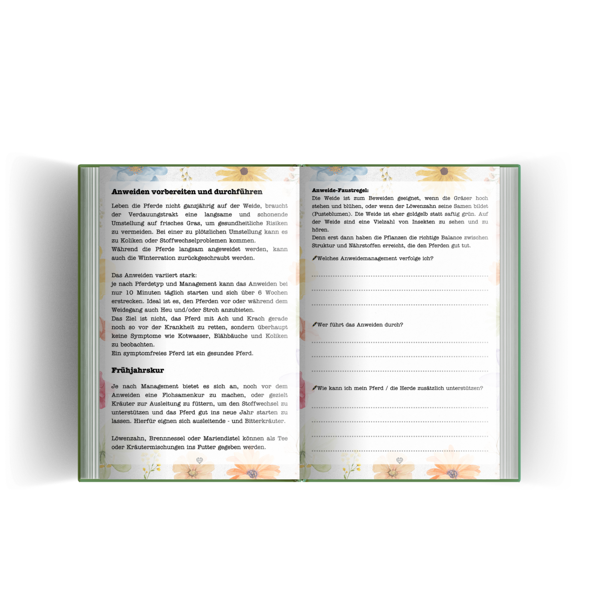 Hufbrüder Jahreskalender A5 - artgerechte Pferdehaltung mit den Jahreszeiten